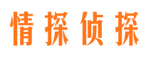 天宁市调查公司